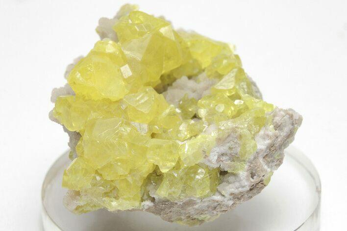 Lemon-Yellow Sulfur Crystals - Sicily, Italy #207689